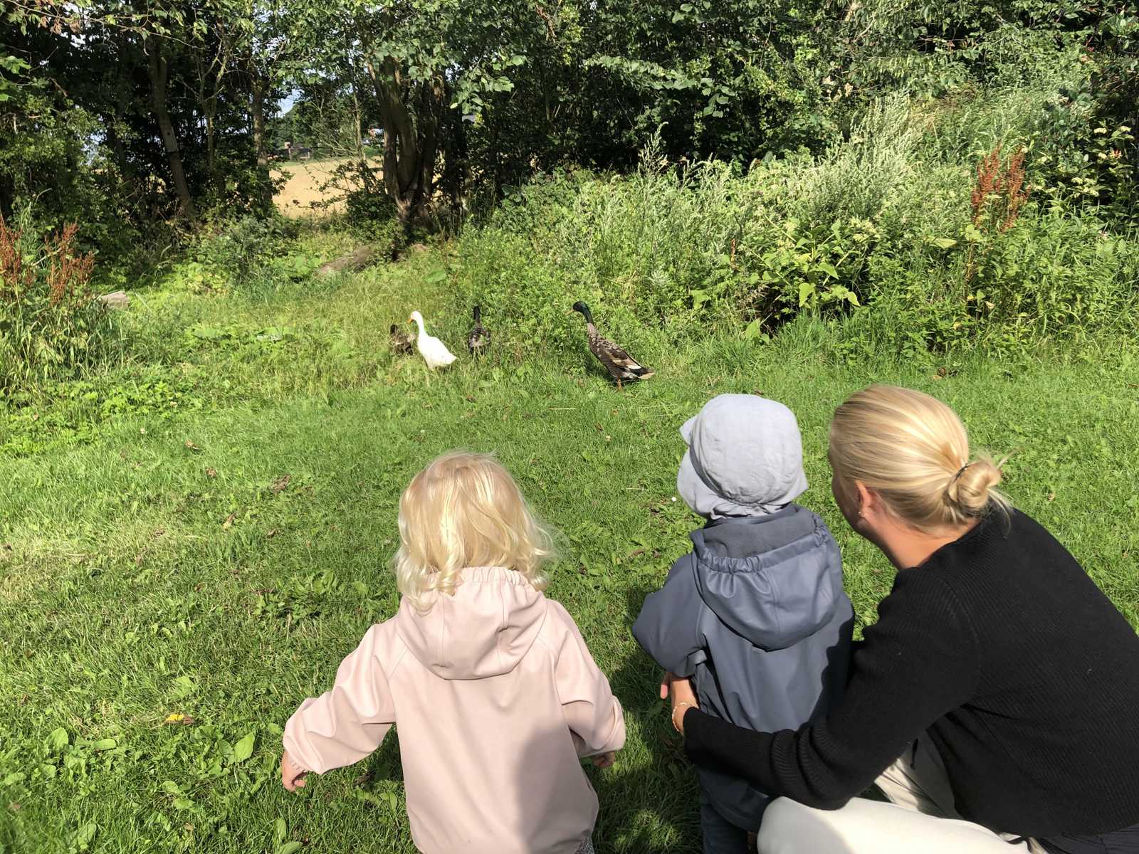 Vi tager på udflugter i vores lokalområde