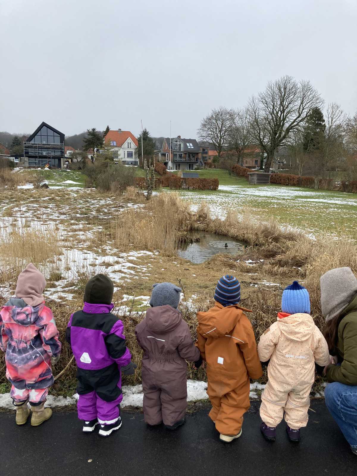 Børnene lærer om naturen - der er mange gode oplevelser i vores nærområde